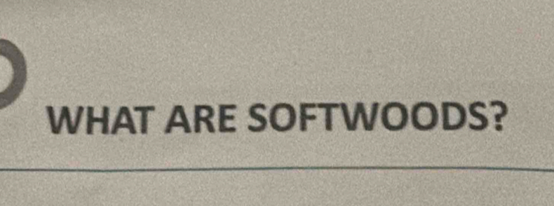 WHAT ARE SOFTWOODS?