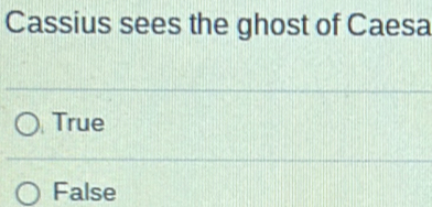 Cassius sees the ghost of Caesa
True
False