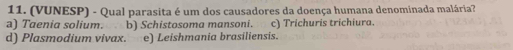 (VUNESP) - Qual parasita é um dos causadores da doença humana denominada malária?
a) Taenia solium. b) Schistosoma mansoni. c) Trichuris trichiura.
d) Plasmodium vivax. e) Leishmania brasiliensis.