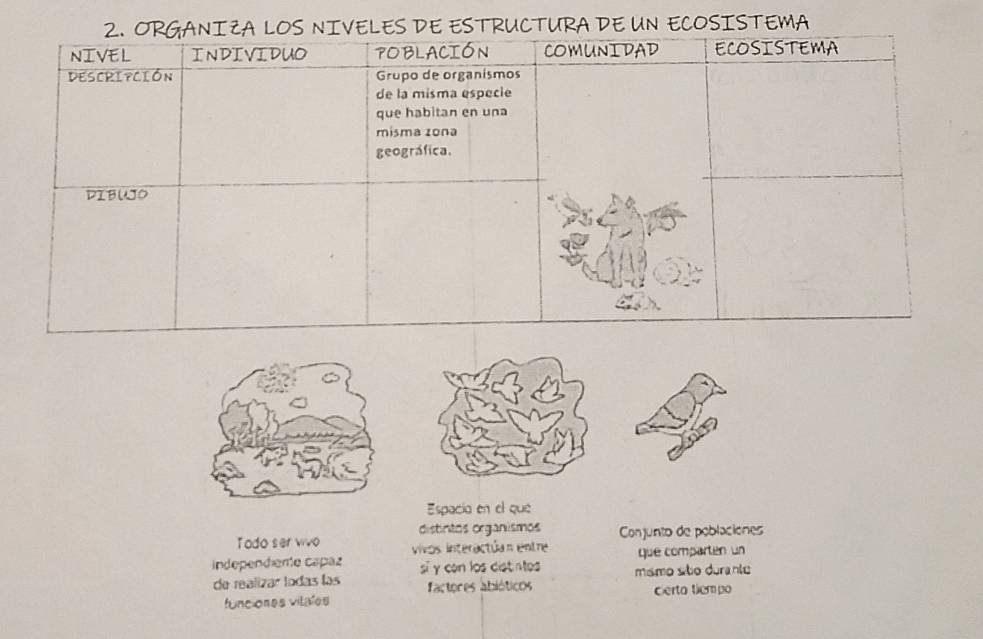 URA DE UN ECOSISTEMA 
Espacia en el que 
distintos organismos 
Todo ser vivo vivos Interactúan entre Conjunto de poblaciones 
independene capaz si γ can los distintos que comparten un 
de realizar lodas las factores abióticos msmo são durante 
funciones vitales certo tiempo