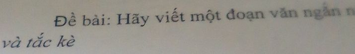 Đề bài: Hãy viết một đoạn văn ngàn n 
và tắc kè