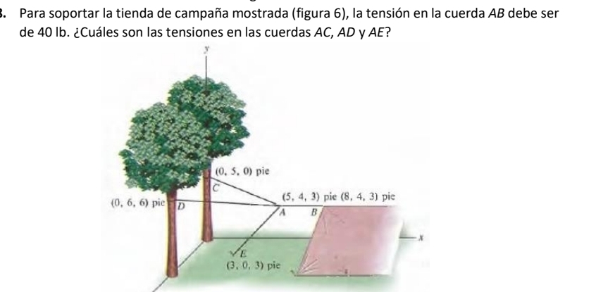 Para soportar la tienda de campaña mostrada (figura 6), la tensión en la cuerda AB debe ser
de 40 lb. ¿Cuáles son las tensiones en las cuerdas AC, AD y AE?