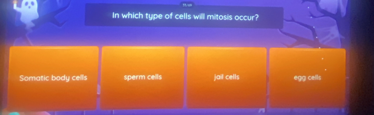 33/69
In which type of cells will mitosis occur?
Somatic body cells sperm cells jail cells egg cells
n