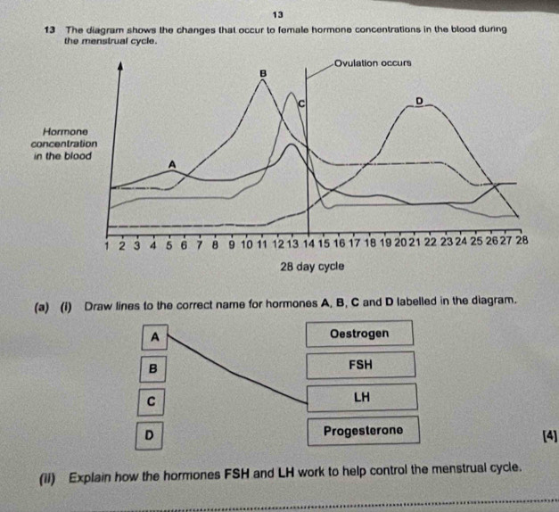 13 
13 The diagram shows the changes that occur to female hormone concentrations in the blood during 
the menstrual cycle. 
(a) (i) Draw lines to the correct name for hormones A. B, C and D labelled in the diagram. 
A Oestrogen 
B 
FSH 
C 
LH 
D Progesterone [4] 
(i1) Explain how the hormones FSH and LH work to help control the menstrual cycle. 
_