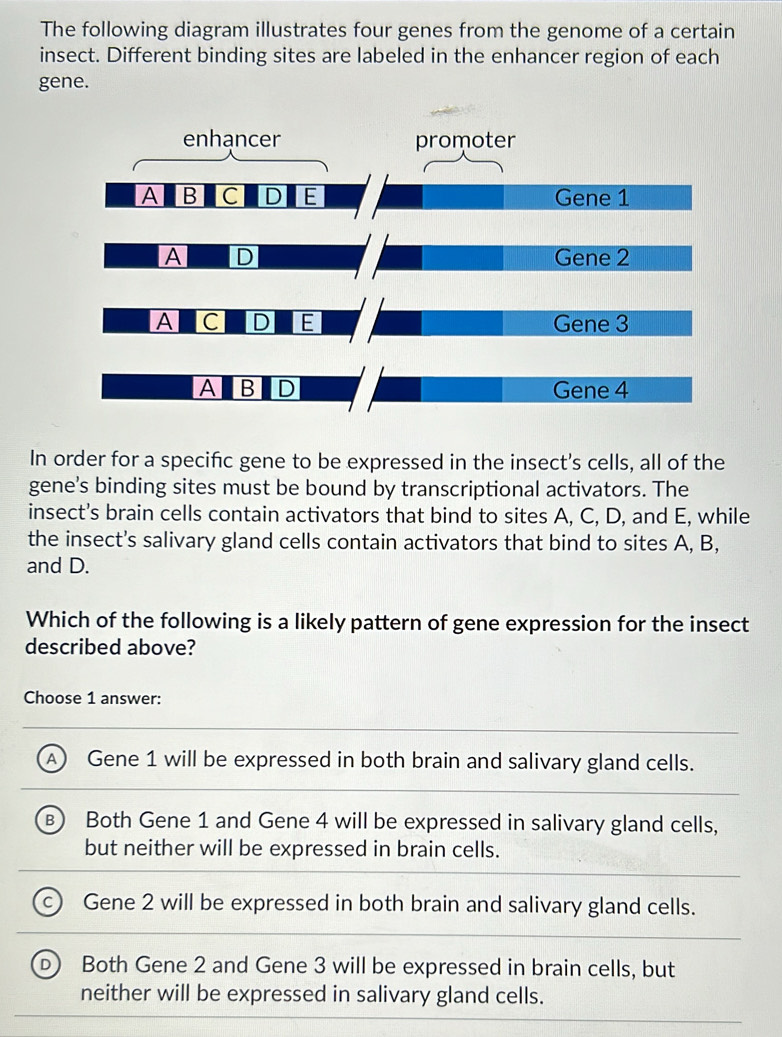 Solved: The following diagram illustrates four genes from the genome of ...
