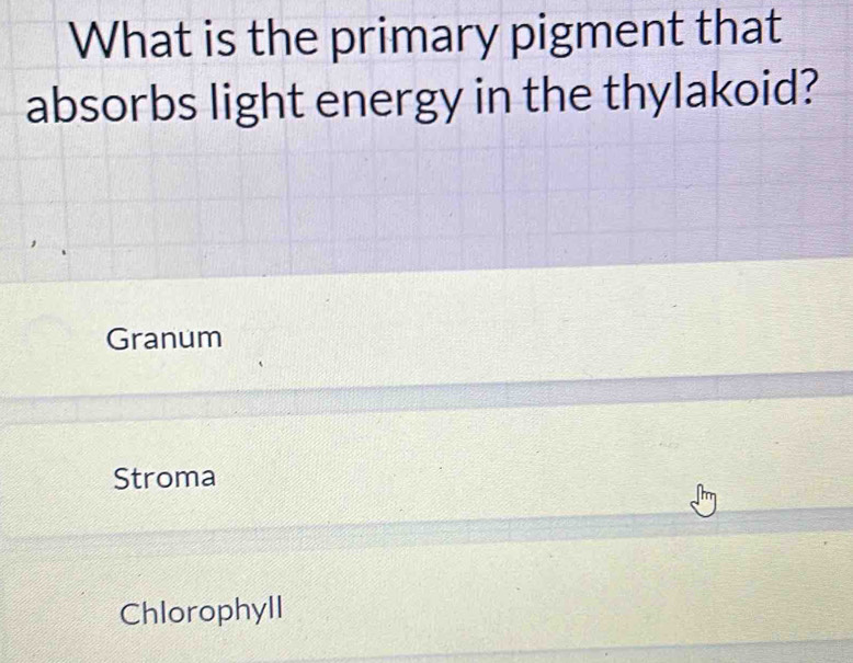 What is the primary pigment that
absorbs light energy in the thylakoid?
Granum
Stroma
Chlorophyll