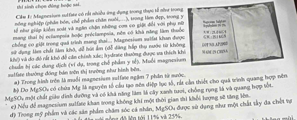 thí sinh chọn đủng hoặc sai. 
Câu 1: Magnesium sulfate có rất nhiều ứng dụng trong thực tế như trong 
nông nghiệp (phân bón, chế phẩm chăn nuôi,...), trong làm đẹp, trong y 
tế như giúp kiểm soát và ngăn chặn những cơn co giật đối với phụ nữ Magaçstn Suóphun 
mang thai bị eclampsia hoặc préclampsia, nên có khà năng làm thuốc Heptalydrmt 99.5% N W : 25. 0 KG S 
chống co giật trong quá trình mang thai... Magnesium sulfat khan được G.W. : 25.1 KG S 
sử dụng làm chất làm khô, dễ hút ẩm (dễ dàng hấp thụ nước từ không LOT NO-AP1903 
khí) và do đó rất khó đề cân chính xác; hydrate thường được ưa thích khi MADE IN CHINA 
chuẩn bị các dung dịch (ví dụ, trong chế phầm y tế). Muối magnesium 
sulfate thường đóng bán trên thị trường như hình bên. 
a) Trong hình trên là muối magnesium sulfate ngậm 7 phân tử nước. 
b) Do MgSO₄ có chứa Mg là nguyên tố cấu tạo nên diệp lục tố, rất cần thiết cho quá trình quang hợp nên 
MgSO4 một chất giàu dinh dưỡng và có khả năng làm lá cây xanh tươi, chống rụng lá và quang hợp tốt. 
c) Nếu để magnesium sulfate khan trong không khí một thời gian thì khối lượng sẽ tăng lên. 
d) Trong mỹ phẩm và các sản phẩm chăm sóc cá nhân, MgSO4 được sử dụng như một chất tầy da chết tự 
với nồng độ lên tới 11% và 25%. 
ng mùi