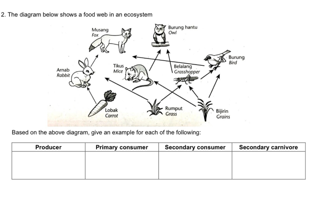 Selesai:The diagram below shows a food web in an ecosystem Based on the ...