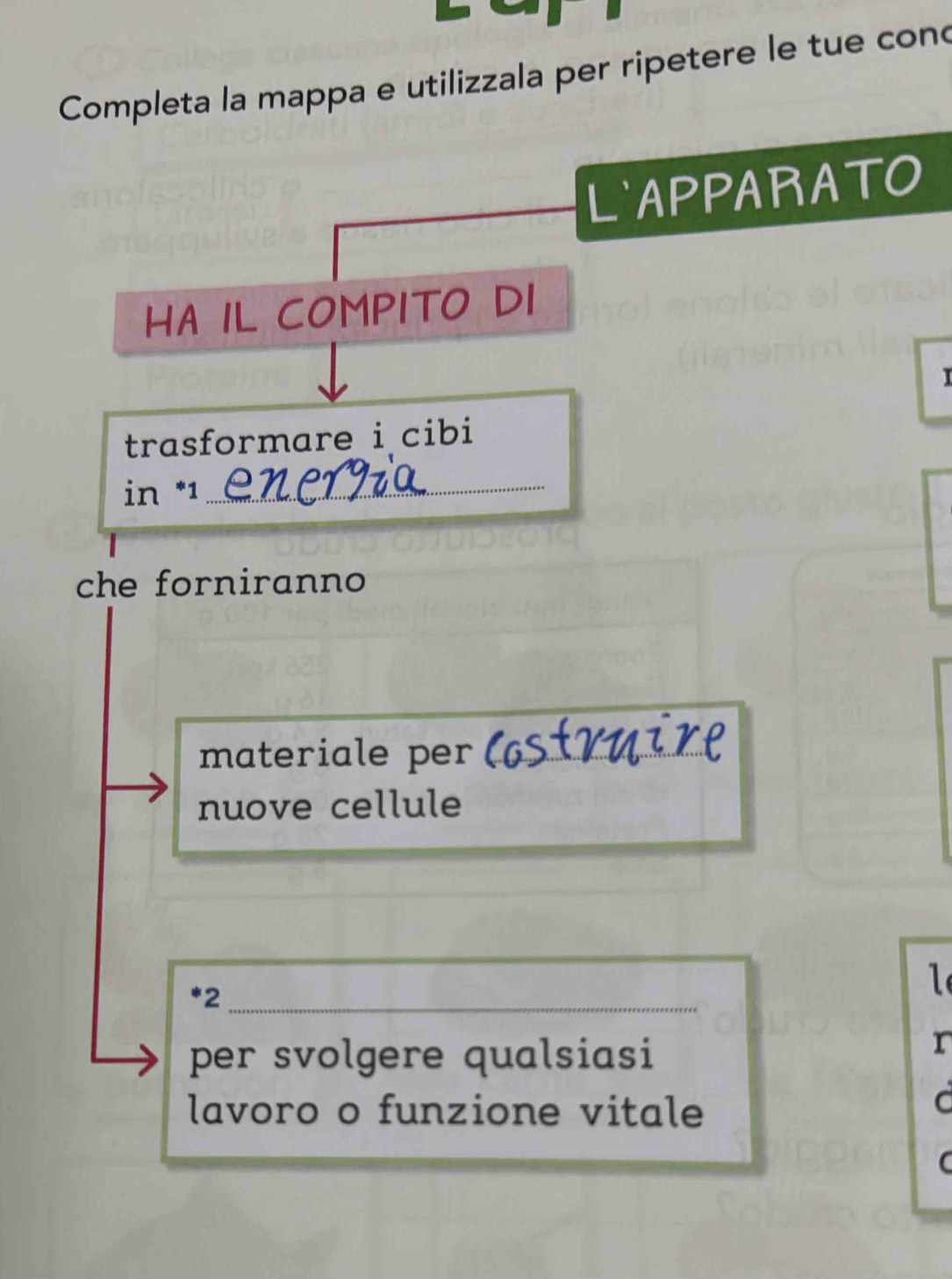 Completa la mappa e utilizzala per ripetere le tue con 
LAPPARATO 
HA IL COMPITO DI 
I 
trasformare i cibi 
in * 1 _ 
che forniranno 
materiale per_ 
nuove cellule 
* 2 _ 
l 
per svolgere qualsiasi 
r 
lavoro o funzione vitale