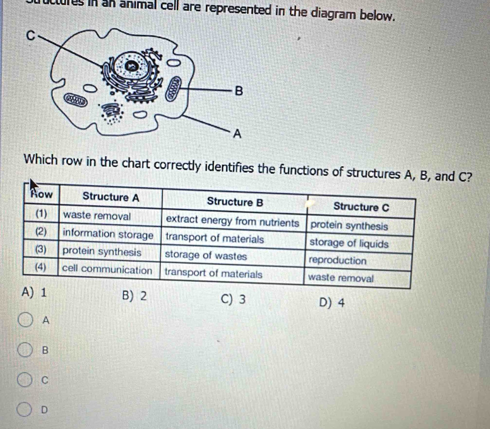 uctures in an animal cell are represented in the diagram below.
Which row in the chart correctly identifies the functions of structures A, B, C?
A) 1 B) 2 C) 3
D) 4
A
B
C
D