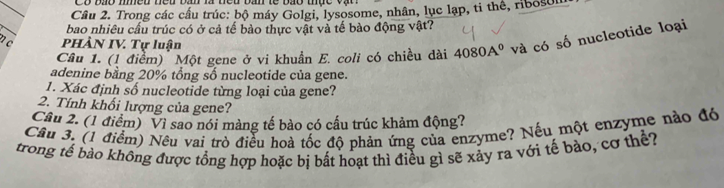 Trong các cấu trúc: bộ máy Golgi, lysosome, nhân, lục lạp, ti thể, ribosor 
bao nhiêu cấu trúc có ở cả tế bào thực vật và tế bào động vật? 
n c PHÀN IV. Tự luận 4080A^0 và có số nucleotide loại 
Câu 1. (1 điểm) Một gene ở vi khuẩn E. coli có chiều dài 
adenine bằng 20% tổng số nucleotide của gene. 
1. Xác định số nucleotide từng loại của gene? 
2. Tính khối lượng của gene? 
Câu 2. (1 điểm) Vì sao nói màng tế bào có cấu trúc khảm động? 
Câu 3. (1 điểm) Nêu vai trò điều hoà tốc độ phản ứng của enzyme? Nếu một enzyme nào đó 
trong tế bào không được tổng hợp hoặc bị bất hoạt thì điều gì sẽ xảy ra với tế bào, cơ thể?