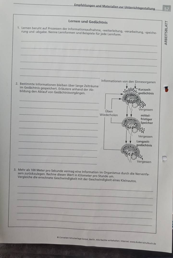 Empfehlungen und Materialien zur Unterrichtsgestaltung 
Lernen und Gedächtnis 
1. Lernen beruht auf Prozessen der Informationsaufnahme, -weiterleitung, -verarbeitung, -speiche- ≌ 
rung und -abgabe. Nenne Lernformen und Beispiele für jede Lernform. 
_ 
_ 
_ 
_ 
_ 
Informationen von den Sinnesorganen 
2. Bestimmte Informationen bleiben über lange Zeiträume 
im Gedächtnis gespeichert. Erläutere anhand der Ab- 
bildung den Ablauf von Gedächtnisvorgängen. 
_ 
_ 
_ 
_ 
_ 
_ 
_ 
_ 
_ 
_ 
3. Mehr als 100 Meter pro Sekunde vermag eine Information im Organismus durch die Nervenfa- 
sern zurückzulegen. Rechne diesen Wert in Kilometer pro Stunde um. 
Vergleiche die errechnete Geschwindigkeit mit der Geschwindigkeit eines Kleinautos. 
_ 
_ 
_ 
_ 
_ 
_ 
© Corneisen Schulverlage GmbH, Berlin. Alle Rechte vorbehalten. Internet: www.duden-schulbuch.de