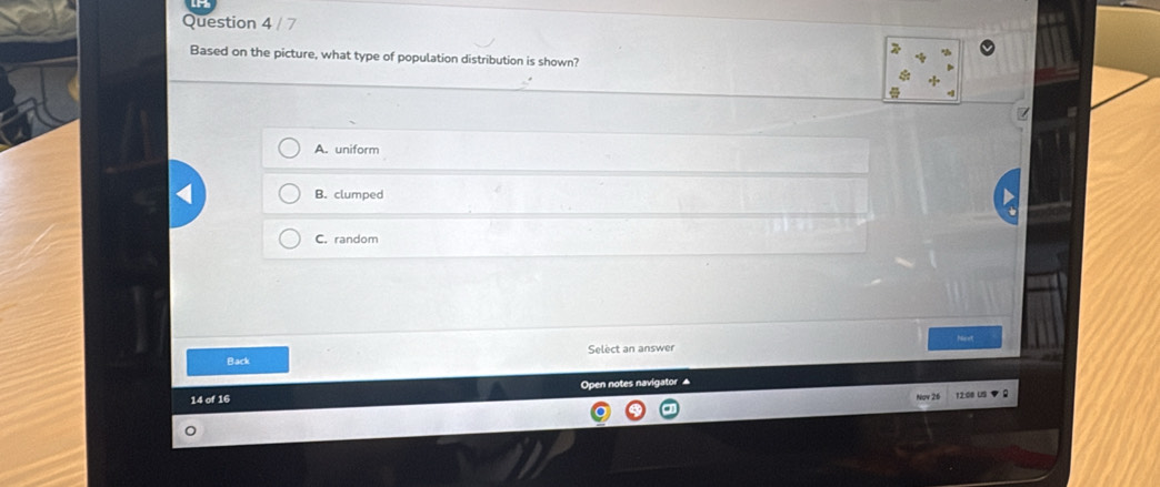 Based on the picture, what type of population distribution is shown?
A. uniform
B. clumped
C. random
Back Select an answer
14 of 16 Open notes navigator ▲