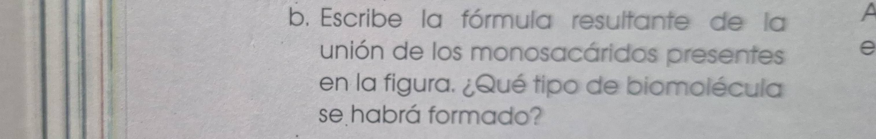 Escribe la fórmula resultante de la 
A 
unión de los monosacáridos presentes 
e 
en la figura. ¿Qué tipo de biomolécula 
se habrá formado?