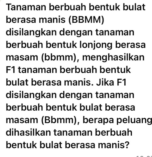 Tanaman berbuah bentuk bulat 
berasa manis (BBMM) 
disilangkan dengan tanaman 
berbuah bentuk lonjong berasa 
masam (bbmm), menghasilkan
F1 tanaman berbuah bentuk 
bulat berasa manis. Jika F1 
disilangkan dengan tanaman 
berbuah bentuk bulat berasa 
masam (Bbmm), berapa peluang 
dihasilkan tanaman berbuah 
bentuk bulat berasa manis?