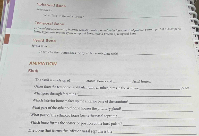 Sphenoid Bone 
Sella turcica 
What “sits” in the sella turcica?_ 
Temporal Bone 
External acoustic meatus, internal acoustic meatus, mandibular fossa, mastoid process, petrous part of the temporal 
bone, zygomatic process of the temporal bone, styloid process of temporal bone 
Hyoid Bone 
Hyoid bone 
To which other bones does the hyoid bone articulate with?_ 
ANIMATION 
Skull 
The skull is made up of _cranial bones and_ facial bones. 
Other than the temporomandibular joint, all other joints in the skull are _joints. 
What goes through foramina?_ 
Which interior bone makes up the anterior base of the cranium?_ 
What part of the sphenoid bone houses the pituitary gland?_ 
What part of the ethmoid bone forms the nasal septum?_ 
Which bone forms the posterior portion of the hard palate? 
_ 
The bone that forms the inferior nasal septum is the_