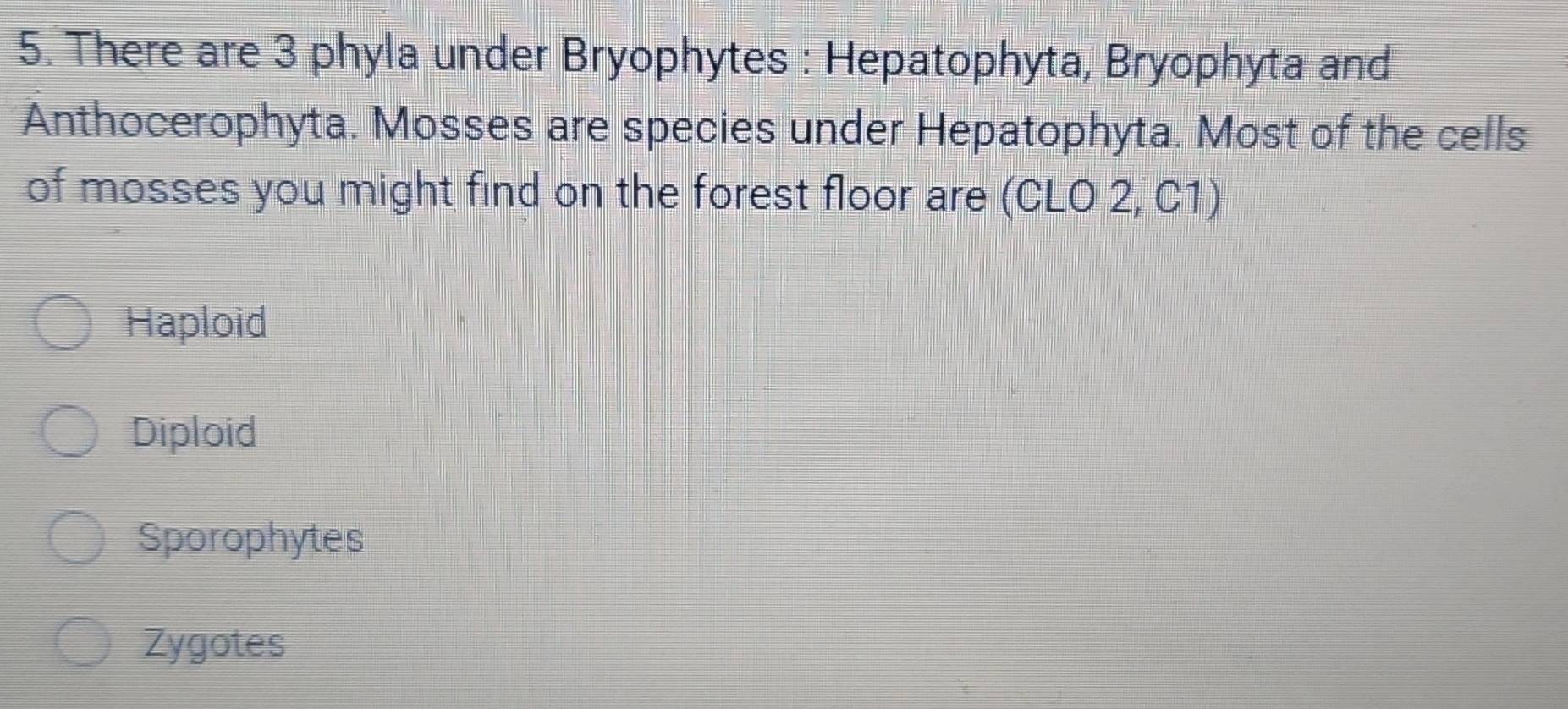 There are 3 phyla under Bryophytes : Hepatophyta, Bryophyta and
Anthocerophyta. Mosses are species under Hepatophyta. Most of the cells
of mosses you might find on the forest floor are (CLO 2, C1)
Haploid
Diploid
Sporophytes
Zygotes