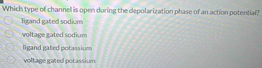 Which type of channel is open during the depolarization phase of an action potential?
ligand gated sodium
voltage gated sodium
ligand gated potassium
voltage gated potassium