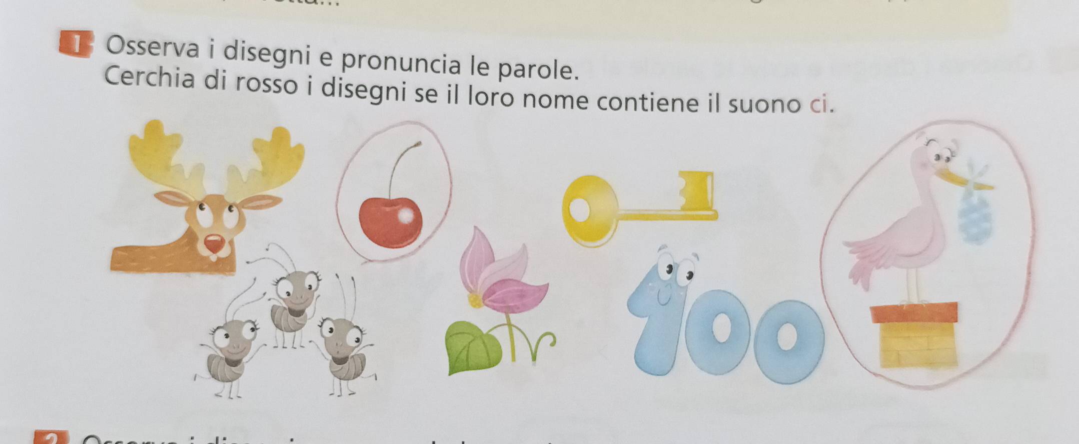 Osserva i disegni e pronuncia le parole. 
Cerchia di rosso i disegni se il loro nome contiene il suono ci.