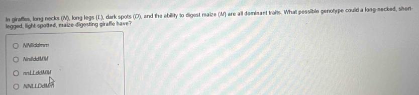 In giraffes, long necks (N), long legs (L), dark spots (D), and the ability to digest maize (M) are all dominant traits. What possible genotype could a long-necked, short-
legged, light-spotted, maize-digesting giraffe have?
NNilddmm
NnilddMM
nnLLddMM
NNLLDdMm