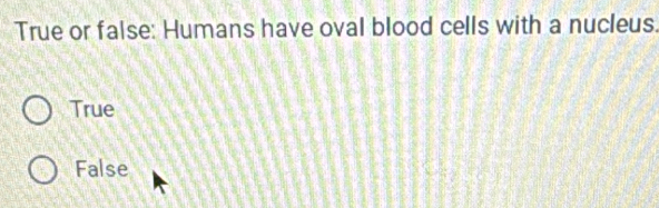 True or false: Humans have oval blood cells with a nucleus.
True
False