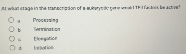 Solved: At what stage in the transcription of a eukaryotic gene would ...