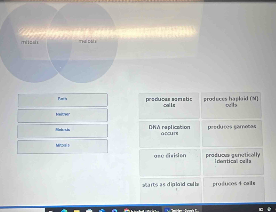 mitosis meiosis
Both produces somatic produces haploid (N)
cells cells
Neither
Meiosis DNA replication produces gametes
occurs
Mitosis
one division produces genetically
identical cells
starts as diploid cells produces 4 cells
TestNav - Google