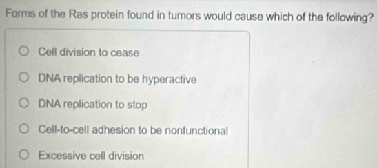 Forms of the Ras protein found in tumors would cause which of the following?
Cell division to cease
DNA replication to be hyperactive
DNA replication to stop
Cell-to-cell adhesion to be nonfunctional
Excessive cell division