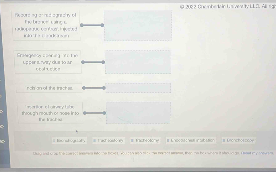 2022 Chamberlain University LLC. All rigl 
Recording or radiography of 
the bronchi using a 
radiopaque contrast injected 
into the bloodstream 
Emergency opening into the 
upper airway due to an 
obstruction 
Incision of the trachea 
Insertion of airway tube 
through mouth or nose into 
the trachea 
Bronchography Tracheostomy Tracheotomy Endotracheal intubation Bronchoscopy 
Drag and drop the correct answers into the boxes. You can also click the correct answer, then the box where it should go. Reset my answers.