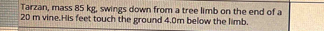 Tarzan, mass 85 kg, swings down from a tree limb on the end of a
20 m vine.His feet touch the ground 4.0m below the limb.
