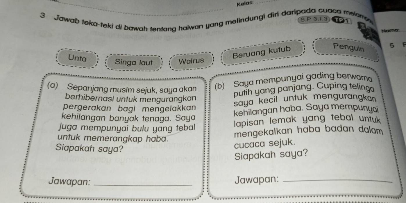 Kelas: 
3 Jawab teka-teki di bawah tentang haiwan yang melindungi diri daripada cuaca melam. 
S. P 3. 1. 3 21
Nama: 
Beruang kutub 
Penguin
5 F 
Unta Singa laut Walrus 
(a) Sepanjang musim sejuk, saya akan (b) Saya mempunyai gading berwarna 
berhibernasi untuk mengurangkan 
putih yang panjang. Cuping telinga 
pergerakan bagi mengelakkan 
saya kecil untuk mengurangkan 
kehilangan banyak tenaga. Saya kehilangan haba. Saya mempunyai 
juga mempunyai bulu yang tebal lapisan lemak yang tebal untuk 
untuk memerangkap haba. mengekalkan haba badan dalam . 
Siapakah saya? 
cucaca sejuk. 
Siapakah saya? 
Jawapan:_ 
Jawapan:_