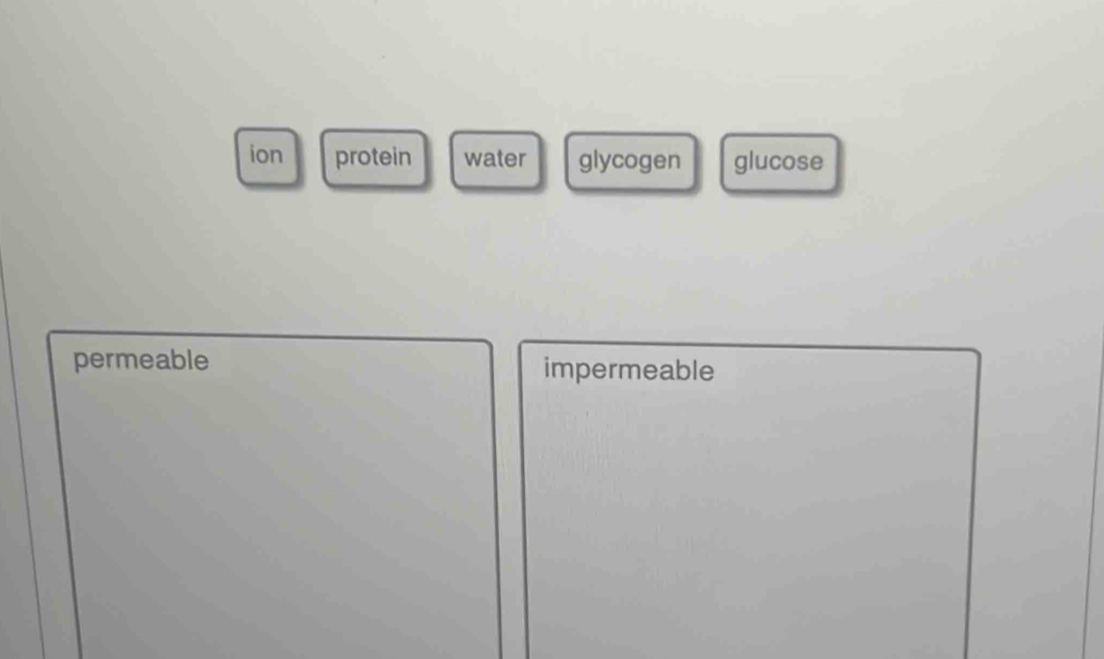 ion protein water glycogen glucose
permeable impermeable