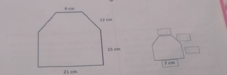 7 cm
21 cm