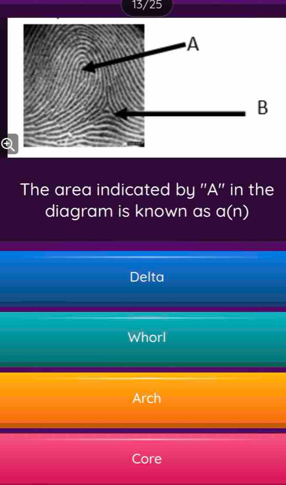 13/25
The area indicated by '' A '' in the
diagram is known as a(n)
Delta
Whorl
Arch
Core