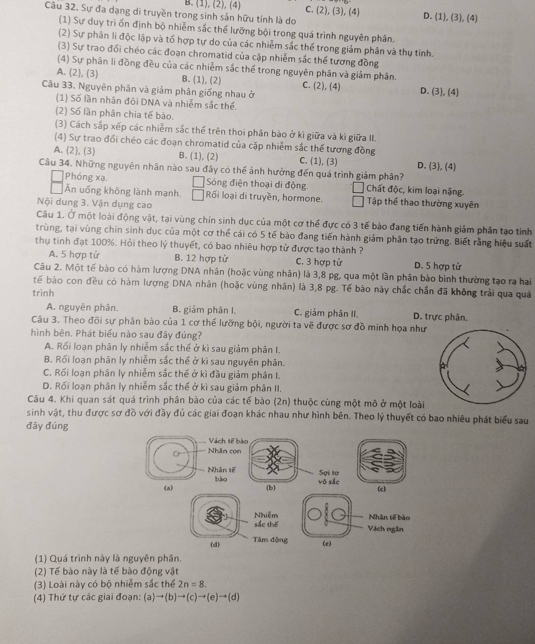 B. (1), (2), (4)
C. (2),(3),(4 D. (1),(3),(4)
Câu 32. Sự đa dạng di truyền trong sinh sản hữu tính là do
(1) Sự duy trì ổn định bộ nhiễm sắc thể lưỡng bội trong quá trình nguyên phân.
(2) Sự phân li độc lập và tổ hợp tự do của các nhiễm sắc thể trong giảm phân và thụ tinh.
(3) Sự trao đổi chéo các đoạn chromatid của cặp nhiễm sắc thể tương đồng
(4) Sự phân li đồng đều của các nhiễm sắc thể trong nguyên phân và giảm phân.
A. (2), (3) B. (1), (2) C. (2), (4)
Câu 33. Nguyên phân và giảm phân giống nhau ở
D. (3), (4)
(1) Số lần nhân đôi DNA và nhiễm sắc thể.
(2) Số lần phân chia tế bào.
(3) Cách sắp xếp các nhiễm sắc thể trên thoi phân bào ở kì giữa và kì giữa II.
(4) Sự trao đổi chéo các đoạn chromatid của cặp nhiễm sắc thể tương đồng
A. (2), (3) B. (1), (2) C. (1), (3) D. (3), (4)
Câu 34. Những nguyên nhân nào sau đây có thể ảnh hưởng đến quá trình giảm phân?
Phóng xạ. Sóng điện thoại di động. Chất độc, kim loại nặng.
Ăn uống không lành mạnh. Rối loại di truyền, hormone. Tập thể thao thường xuyên
Nội dung 3. Vận dụng cao
Câu 1. Ở một loài động vật, tại vùng chín sinh dục của một cơ thể đực có 3 tế bào đang tiến hành giảm phân tạo tinh
trùng, tại vùng chín sinh dục của một cơ thể cái có 5 tế bào đang tiến hành giảm phân tạo trứng. Biết rằng hiệu suất
thụ tinh đạt 100%. Hỏi theo lý thuyết, có bao nhiêu hợp tử được tạo thành ?
A. 5 hợp tử B. 12 hợp tử C. 3 hợp tử D. 5 hợp tử
Câu 2. Một tế bào có hàm lượng DNA nhân (hoặc vùng nhân) là 3,8 pg, qua một lần phân bào bình thường tạo ra hai
tế bào con đều có hàm lượng DNA nhân (hoặc vùng nhân) là 3,8 pg. Tế bào này chắc chắn đã không trải qua quá
trình
A. nguyên phân. B. giảm phân I. C. giảm phân II. D. trực phân.
Câu 3. Theo đõi sự phân bào của 1 cơ thế lưỡng bội, người ta vẽ được sơ đồ minh họa như
hình bên. Phát biểu nào sau đây đúng?
A. Rối loạn phân ly nhiễm sắc thể ở kì sau giảm phân I.
B. Rối loạn phân ly nhiễm sắc thế ở kì sau nguyên phân.
C. Rối loạn phân ly nhiễm sắc thế ở kì đầu giảm phân I.
D. Rối loạn phân ly nhiễm sắc thế ở kì sau giảm phân II.
Câu 4. Khi quan sát quá trình phân bào của các tế bào (2n) thuộc cùng một mô ở một loài
sinh vật, thu được sơ đồ với đầy đủ các giai đoạn khác nhau như hình bên. Theo lý thuyết có bao nhiêu phát biểu sau
đây đúng
Vách tế bào
Nhân con
Nhân tế Sợi tơ
bào
(a) (b) vô sắc
(c)
Nhiễm Nhân tế bào
sắc thế Vách ngăn
(d) Tâm động (e)
(1) Quá trình này là nguyên phân.
(2) Tế bào này là tế bào động vật
(3) Loài này có bộ nhiễm sắc thế 2n=8.
(4) Thứ tự các giai đoạn: (a)to (b)to (c)to (e)to (d)