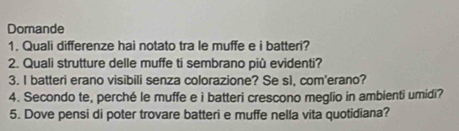 Domande 
1. Quali differenze hai notato tra le muffe e i batteri? 
2. Quali strutture delle muffe ti sembrano più evidenti? 
3. I batteri erano visibili senza colorazione? Se s1, com'erano? 
4. Secondo te, perché le muffe e i batteri crescono meglio in ambienti umidi? 
5. Dove pensi di poter trovare batteri e muffe nella vita quotidiana?