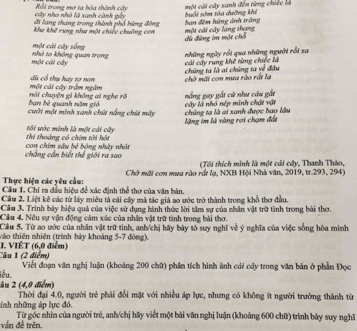 Rồi trong mơ ta hóa thành cây
một cái cây xanh đến từng chiếc là
cây nho nhỏ lá xanh cành gầy buổi sớm tỏa dưỡng khí
đi lang thang trong thành phố hừng đông ban đêm hứng ánh trăng
khe khẽ rung như một chiếc chuông con một cái cây lang thang
dù đứng im một chỗ
một cái cây sống
nhỏ to không quan trọng
những ngày rồi qua những người rồi xa
một cái cây cái cây rung khẽ từng chiếc lá
chúng ta là ai chúng ta về đầu
dù cổ thụ hay tơ non chờ mãi cơn mưa rào rất lạ
một cái cây trầm ngâm
nói chuyện gì không ai nghe rõ nắng gay gắt cứ như cáu gắt
bạn bè quanh năm gió cây là nhỏ nép mình chật vật
cười một mình xanh chút nắng chút mây chúng ta là ai xanh được bao lâu
lặng im lá vàng rơi chạm đất
tôi ước mình là một cái cây
thi thoảng có chim tới hót
con chim sâu bé bỏng nhảy nhót
chăng cần biết thế giới ra sao
(Tôi thích mình là một cái cây, Thanh Thảo,
Chờ mãi cơn mưa rào rất lạ, NXB Hội Nhà văn, 2019, tr.293, 294)
Thực hiện các yêu cầu:
Câu 1. Chỉ ra dấu hiệu đề xác định thể thơ của văn bản.
Câu 2. Liệt kê các từ láy miêu tả cái cây mà tác giả ao ước trở thành trong khổ thơ đầu.
Câu 3. Trình bày hiệu quả của việc sử dụng hình thức lời tâm sự của nhân vật trữ tình trong bài thơ.
Câu 4. Nêu sự vận động cảm xúc của nhân vật trữ tình trong bài thơ.
Câu 5. Từ ao ước của nhân vật trữ tình, anh/chị hãy bày tỏ suy nghĩ về ý nghĩa của việc sống hòa mình
vào thiên nhiên (trình bảy khoảng 5-7 dòng).
I. VIÉT (6,0 điểm)
Câu 1 (2 điểm)
Viết đoạn văn nghị luận (khoảng 200 chữ) phân tích hình ảnh cái cây trong văn bản ở phần Đọc
iều.
lâu 2 (4,0 điểm)
Thời đại 4.0, người trẻ phải đối mặt với nhiều áp lực, nhưng có không ít người trưởng thành từ
ính những áp lực đó.
Từ góc nhìn của người trẻ, anh/chị hãy viết một bài văn nghị luận (khoảng 600 chữ) trình bày suy nghĩ
vấn đề trên.