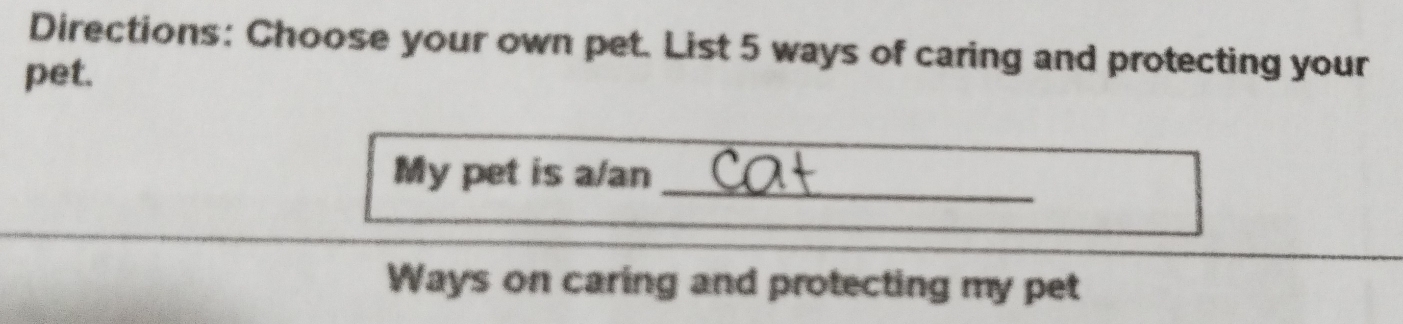 Directions: Choose your own pet. List 5 ways of caring and protecting your 
pet. 
My pet is a/an_ 
Ways on caring and protecting my pet