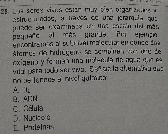 Los seres vivos están muy bien organizados y
estructurados, a través de una jerarquía que
puede ser examinada en una escala del más
pequeño al más grande. Por ejemplo,
encontramos al subnivel molecular en donde dos
átomos de hidrógeno se combinan con uno de
oxígeno y forman una molécula de agua que es
vital para todo ser vivo. Señale la alternativa que
no pertenece al nivel químico:
A. O_2
B. ADN
C. Célula
D. Nucléolo
E. Proteínas