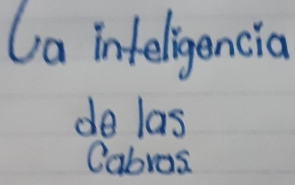 la inteligencia 
de las 
Cabros