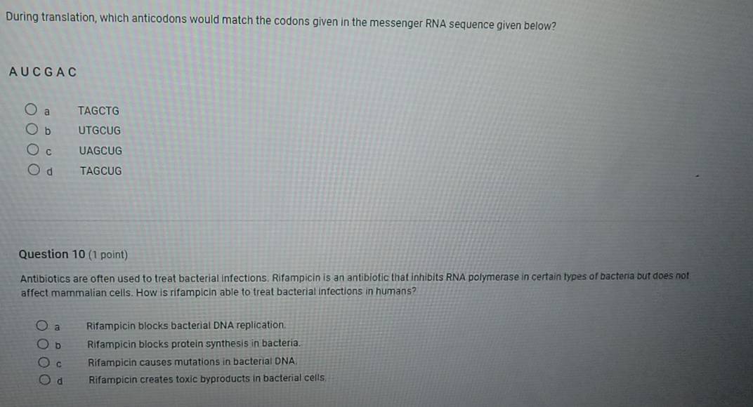 During translation, which anticodons would match the codons given in the messenger RNA sequence given below?
A U C G A C
a TAGCTG
b UTGCUG
C UAGCUG
d TAGCUG
Question 10 (1 point)
Antibiotics are often used to treat bacterial infections. Rifampicin is an antibiotic that inhibits RNA polymerase in certain types of bacteria but does not
affect mammalian cells. How is rifampicin able to treat bacterial infections in humans?
a Rifampicin blocks bacterial DNA replication
D Rifampicin blocks protein synthesis in bacteria.
c Rifampicin causes mutations in bacterial DNA
d Rifampicin creates toxic byproducts in bacterial cells