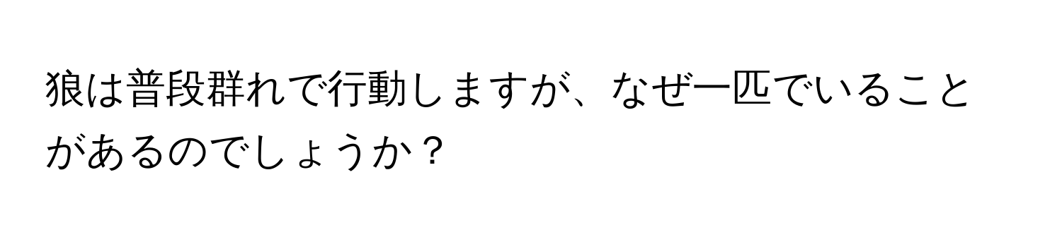 狼は普段群れで行動しますが、なぜ一匹でいることがあるのでしょうか？