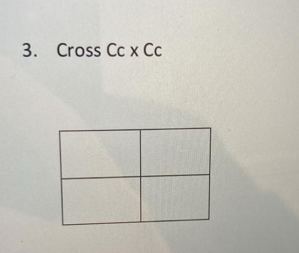 Cross Cc* Cc