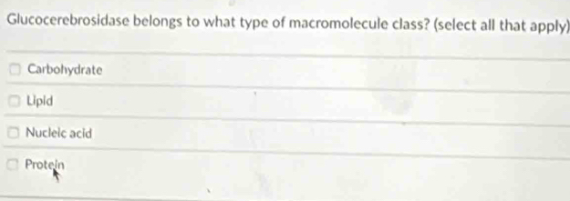 Glucocerebrosidase belongs to what type of macromolecule class? (select all that apply)
Carbohydrate
Lipid
Nucleic acid
Protein