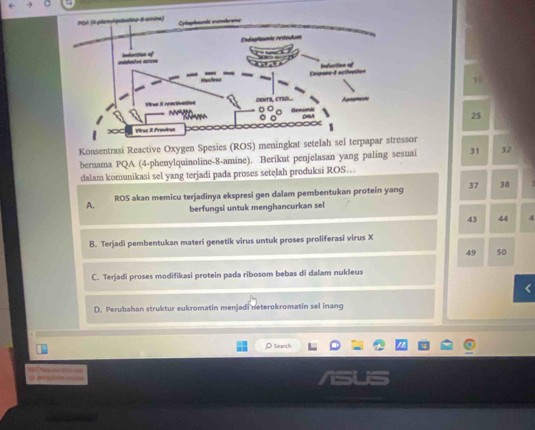 19
25
Konsentrasi Reactive Oxygen Spesies (ROS) meningkessor
bernama PQA (4-phenylquinoline-8-amine). Berikut penjelasan yang paling sesuai 31 32
dalam komunikasi sel yang terjadi pada proses setelah produksi ROS…
A. ROS akan memicu terjadinya ekspresi gen dalam pembentukan protein yang 37 38
berfungsi untuk menghancurkan sel
43 44 4
B. Terjadi pembentukan materi genetik virus untuk proses proliferasi virus X
49 50
C. Terjadi proses modifikasi protein pada ribosom bebas di dalam nukleus
D. Perubahan struktur eukromatin menjadi neterokromatin sel inang
Search
KNT Pemmistox ===
Q Rluno