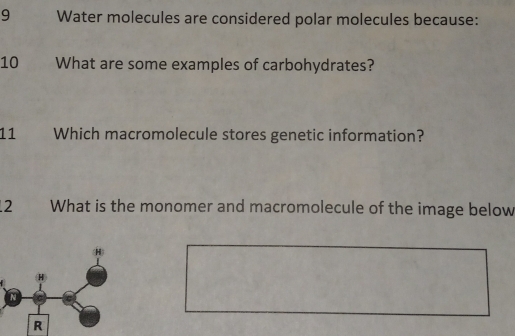 Water molecules are considered polar molecules because: 
10 What are some examples of carbohydrates? 
11 Which macromolecule stores genetic information? 
2 What is the monomer and macromolecule of the image below