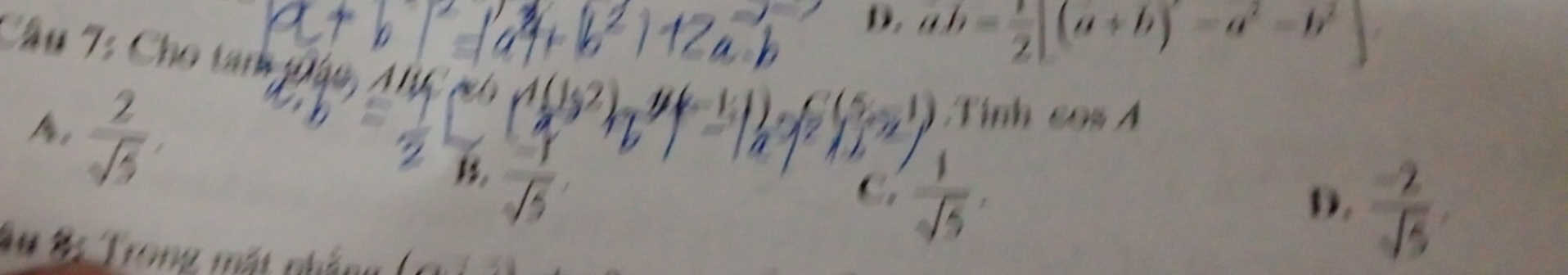 D. ab= 1/2 |(a+b)-a^2-b^2|
Câu Ts Cho tan páo, AC e  (-2)/sqrt(5) 
 2/sqrt(5) , 
Tinh cos A
15,
C.
D.
Ấu 8: Trong mất nhắng