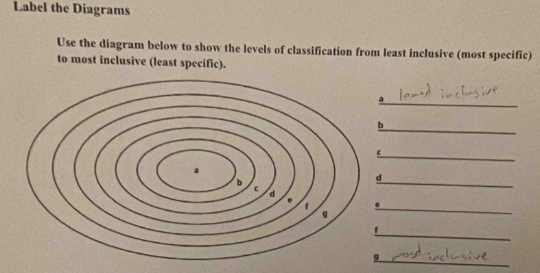 Solved: Label the Diagrams Use the diagram below to show the levels of ...