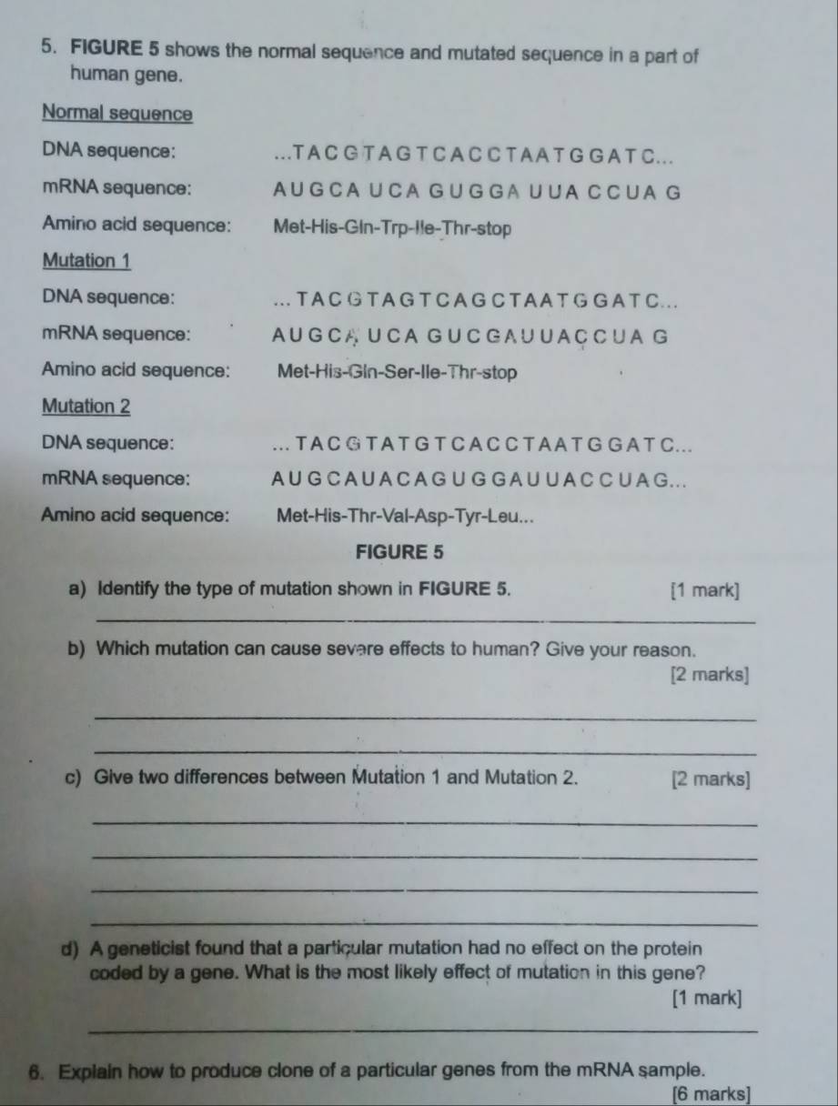 Selesai:FIGURE 5 shows the normal sequence and mutated sequence in a ...
