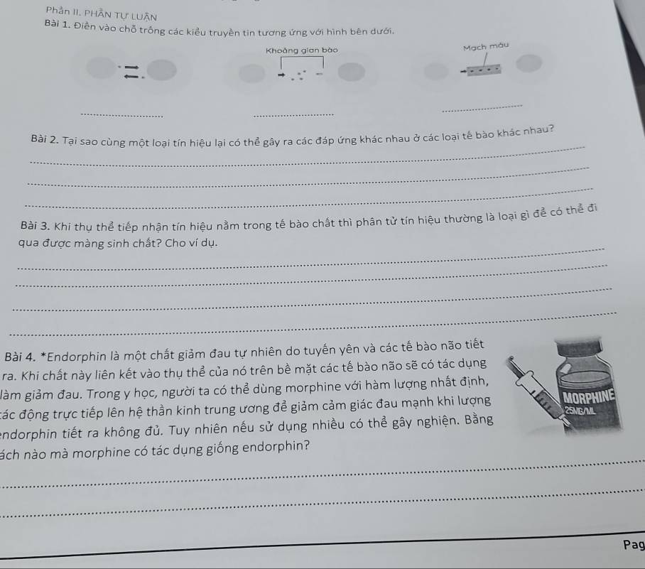 Phần II. PHÂN Tự LUÂN 
Bài 1. Điền vào chỗ trống các kiểu truyền tin tương ứng với hình bên dưới. 
Khoảng gian bào 
. Mạch máu 
_ 
_ 
_ 
_ 
Bài 2. Tại sao cùng một loại tín hiệu lại có thể gây ra các đáp ứng khác nhau ở các loại tế bào khác nhau? 
_ 
_ 
Bài 3. Khi thụ thể tiếp nhận tín hiệu nằm trong tế bào chất thì phân tử tín hiệu thường là loại gì để có thể đi 
_qua được màng sinh chất? Cho ví dụ. 
_ 
_ 
_ 
Bài 4. *Endorphin là một chất giảm đau tự nhiên do tuyến yên và các tế bào não tiết 
ra. Khi chất này liên kết vào thụ thể của nó trên bề mặt các tế bào não sẽ có tác dụng 
làm giảm đau. Trong y học, người ta có thể dùng morphine với hàm lượng nhất định, 
đác động trực tiếp lên hệ thần kinh trung ương để giảm cảm giác đau mạnh khi lượng 
endorphin tiết ra không đủ. Tuy nhiên nếu sử dụng nhiều có thể gây nghiện. Bằng 
_ 
nách nào mà morphine có tác dụng giống endorphin? 
_ 
Pag